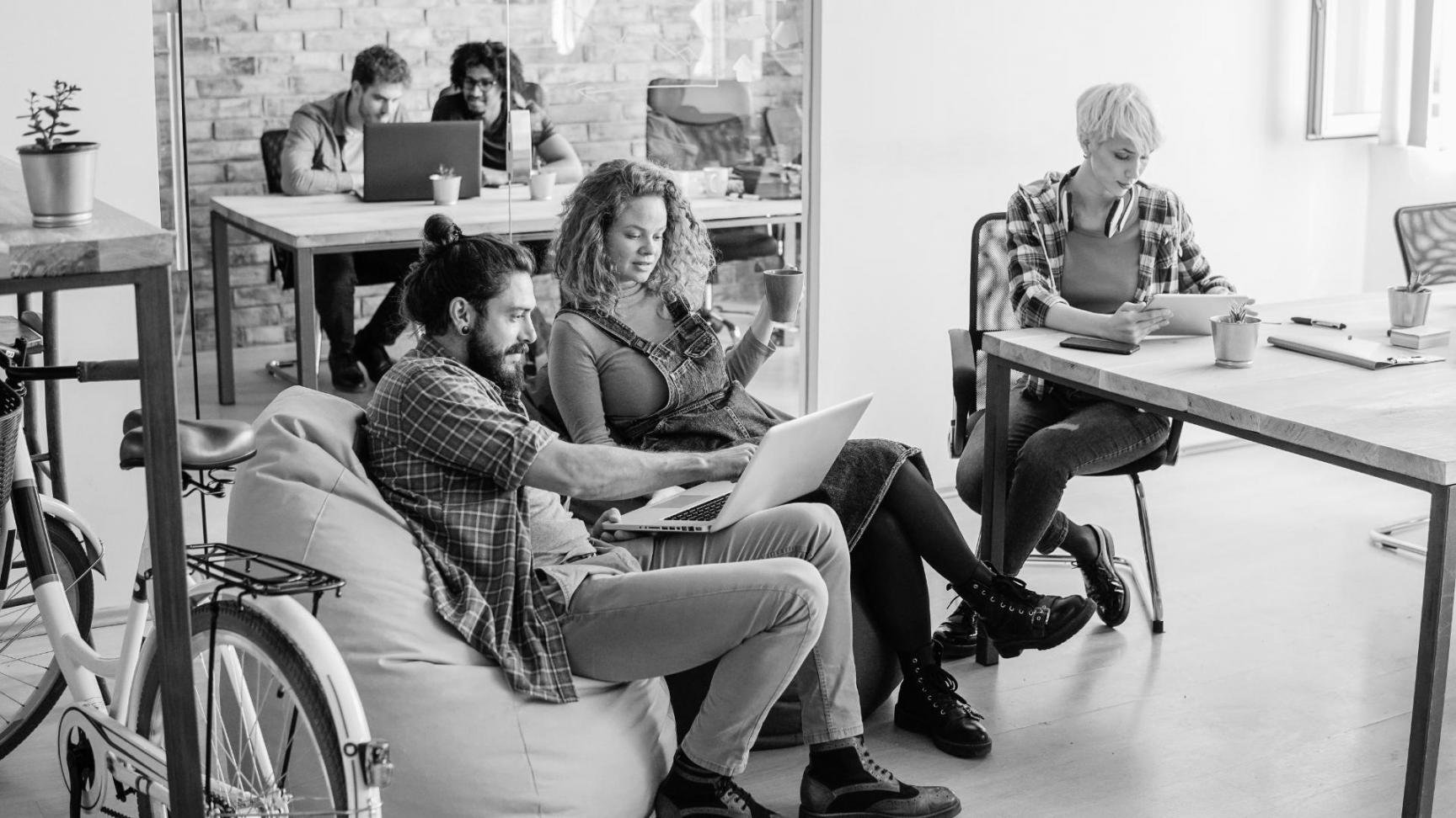 Gráfico mostrando crecimiento de tráfico orgánico