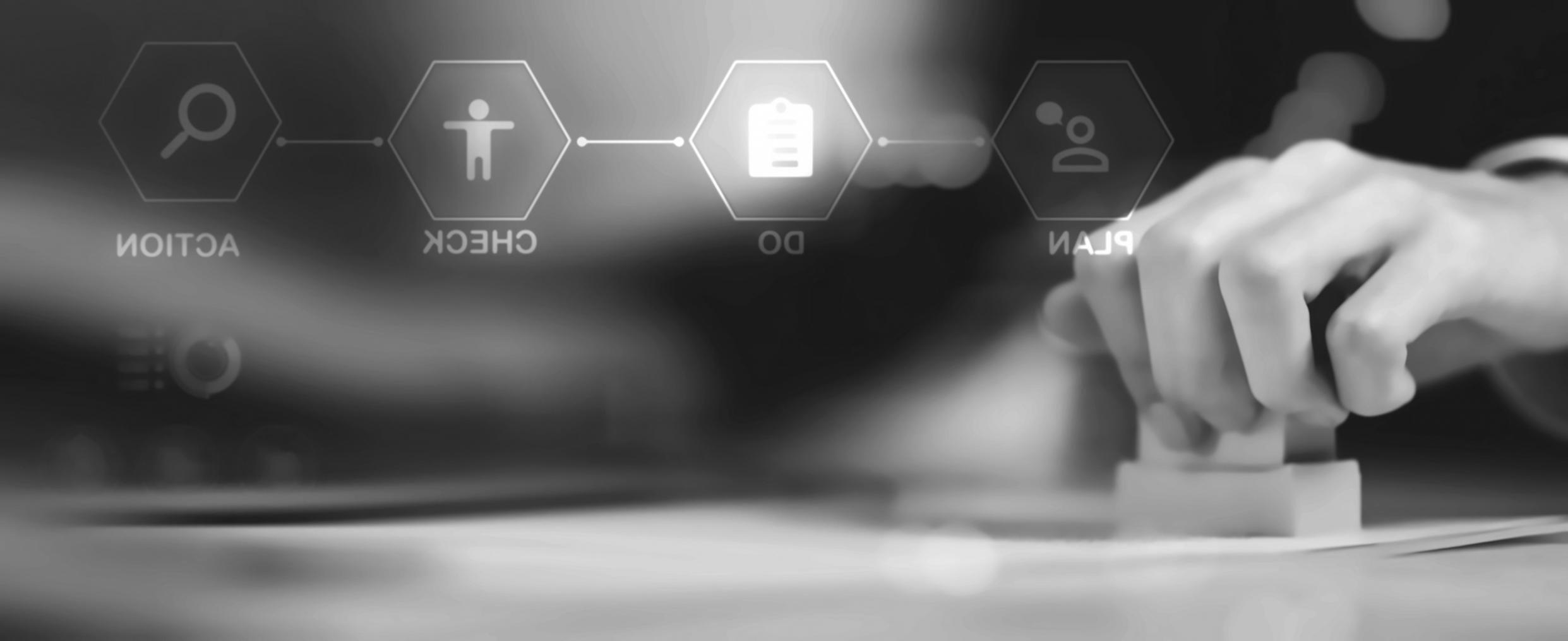 Equipo de Privaluneos trabajando en estrategias de SEO